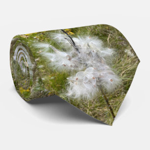 Gravata Milkweed Borboleta