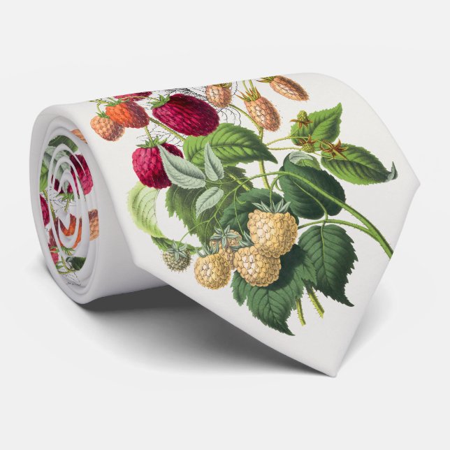 Gravata Morango de vinagre (Rolled)