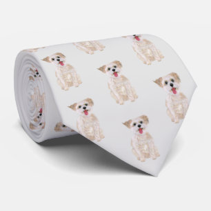 Gravata Morkie