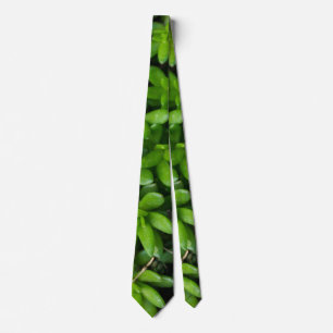 Gravata Moss Abstrato Neck Tie