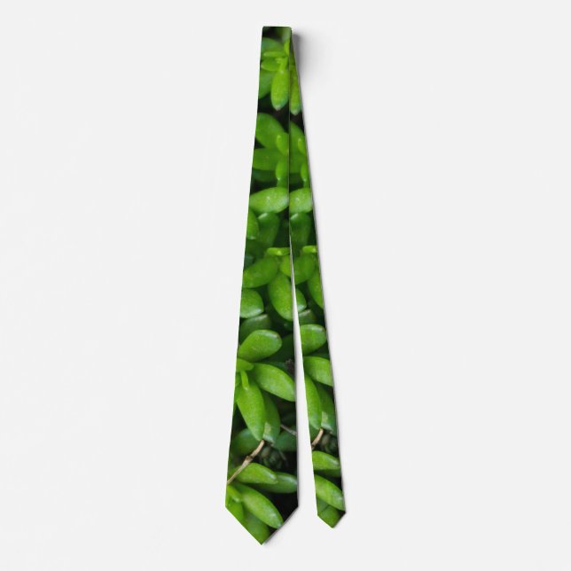 Gravata Moss Abstrato Neck Tie (Frente)