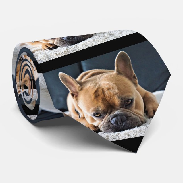 Gravata Muito divertido Querky Cute Bulldog Tie (Rolled)