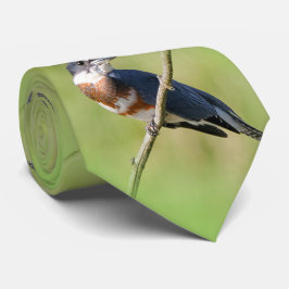 Gravata Mulher Beliscada Kingfisher Fora num Limb