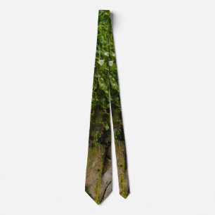 Gravata Muro De Ivy Neck Tie
