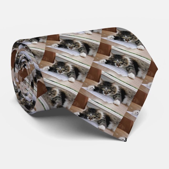 Gravata Musical Cat Necktie (Rolled)