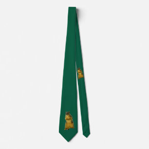 Gravata Na moda TieSquirrelly   Forest Green Novelty Tie