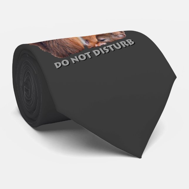 Gravata Não Perturbe (Cinza Escuro) (Rolled)
