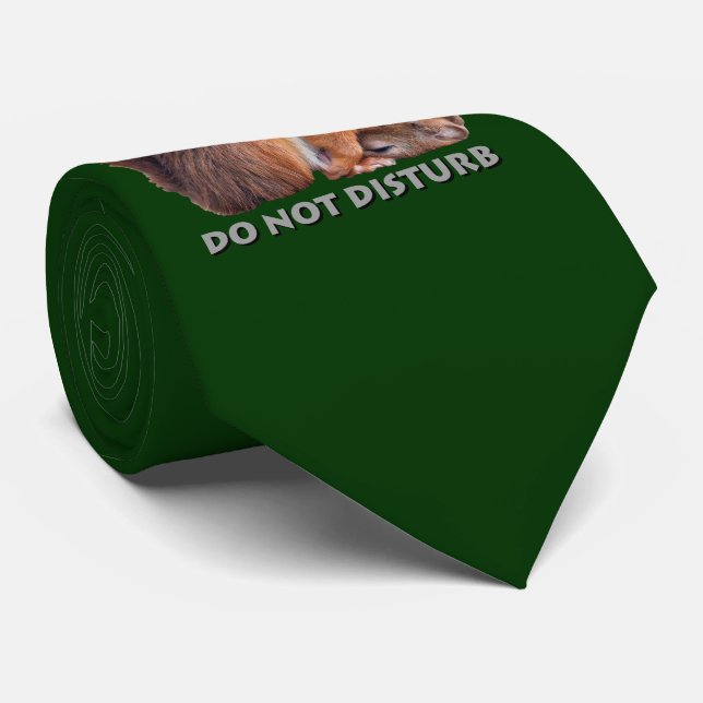 Gravata Não Perturbe (Verde Escuro) (Rolled)