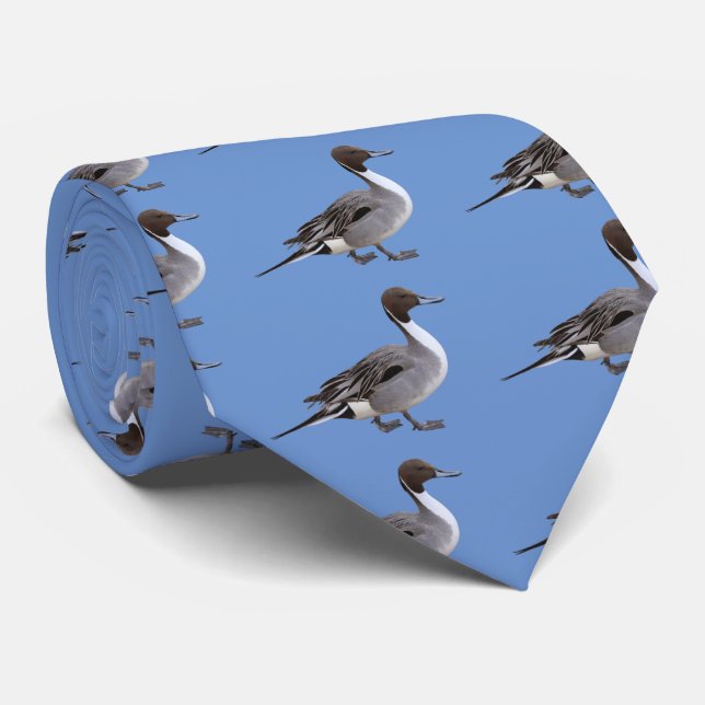 Gravata Norte Pintail (Rolled)