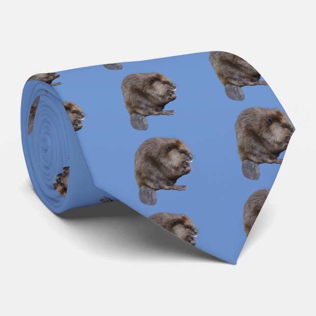 Gravata North American beaver (Rolled)