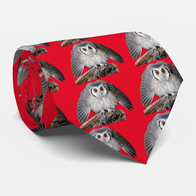 Gravata Northern White-faced Owl (Rolled)