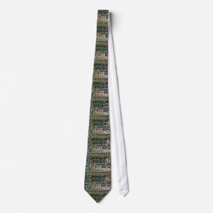 Gravata O conselho de circuito