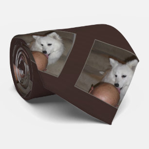 Gravata O laço, calvo é bonito, repetições do teste padrão