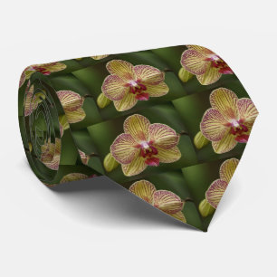 Gravata O laço dos homens da elegância da orquídea