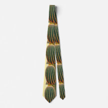 O laço dos homens do cacto do Saguaro