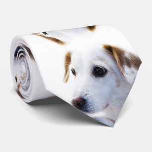 Gravata O melhor amigo do Homem-Cão