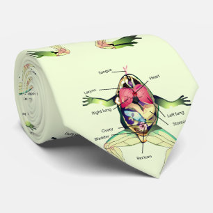 Gravata O Sapo Verde da Anatomia
