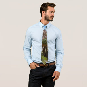 Gravata Oásis Lost Palms I no Parque Nacional Joshua Tree