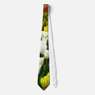 Gravata Onda do arco-íris da tulipa