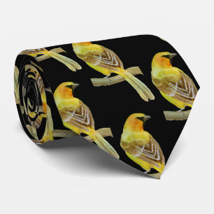 Gravata Oriole Hooded
