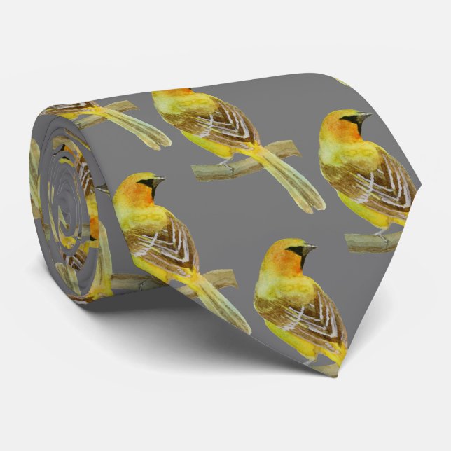 Gravata Oriole Hooded (Rolled)