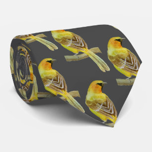 Gravata Oriole Hooded