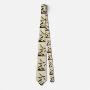 Gravata Orioles, arbustos, das Aves da América de Audubon