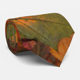 Gravata Outono Colorido