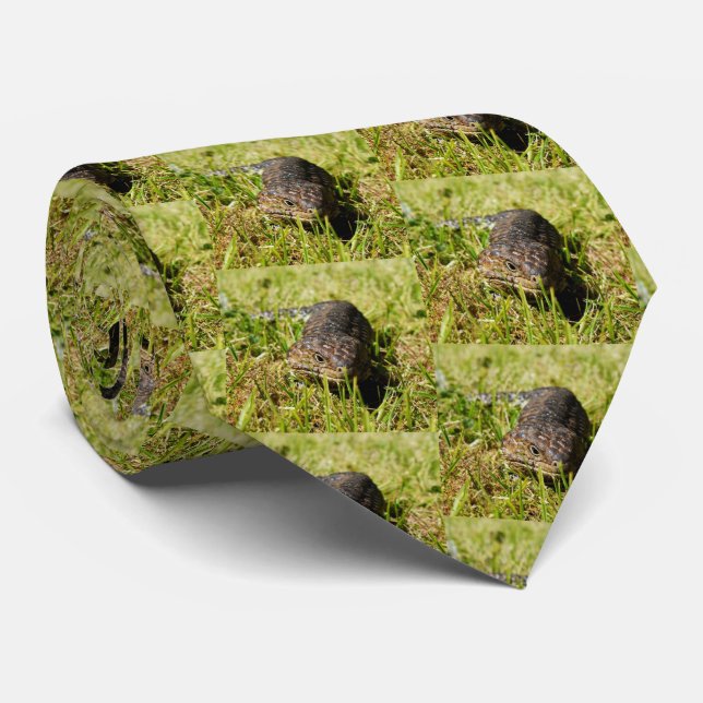 Gravata Padrão de Lizard de Estumpia de Língua Azul Austra (Rolled)