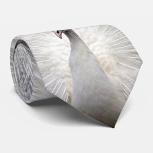 Gravata Painel branco do pavão três