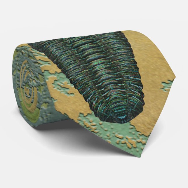 Gravata "Paleo-chic" Calymene Niagarensis Trilobite (Rolled)