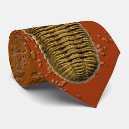 Gravata "Paleo-chic" Phacops Rana Fossil Trilobite