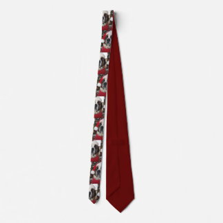 Gravata Papais noeis de Natal Santo Bernard Neck Tie
