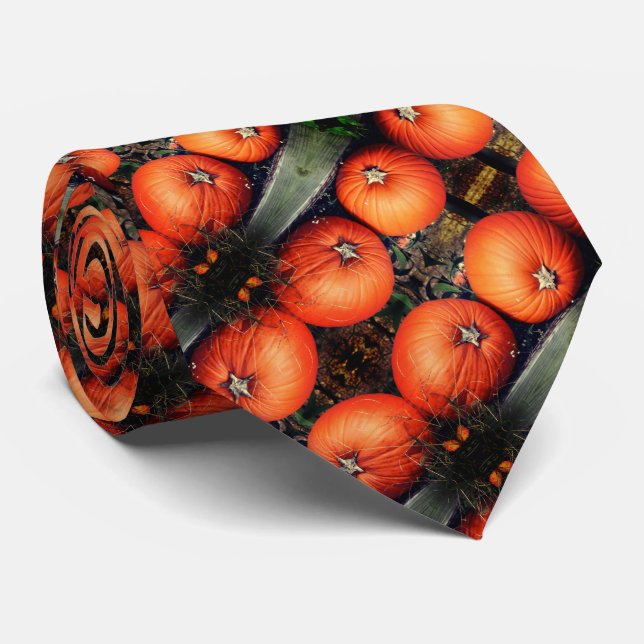 Gravata Par Pumpkin Pair Fall Abstrato Patterno (Rolled)