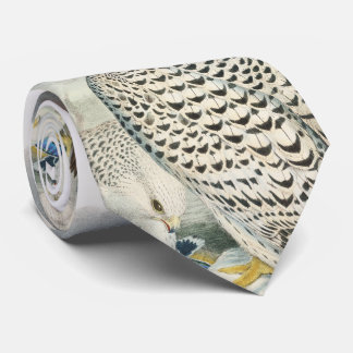 Gravata Pássaros escuros adultos do falcão de Greenland de