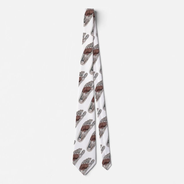 Gravata Pé Podiatral De Podiatria Da Anatomia Humana Vinta (Frente)