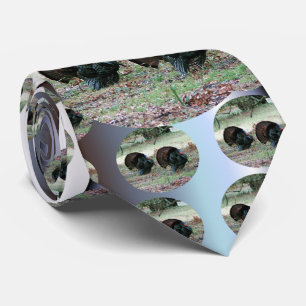 Gravata Perus selvagens do Dia de Ação de Graças num Campo