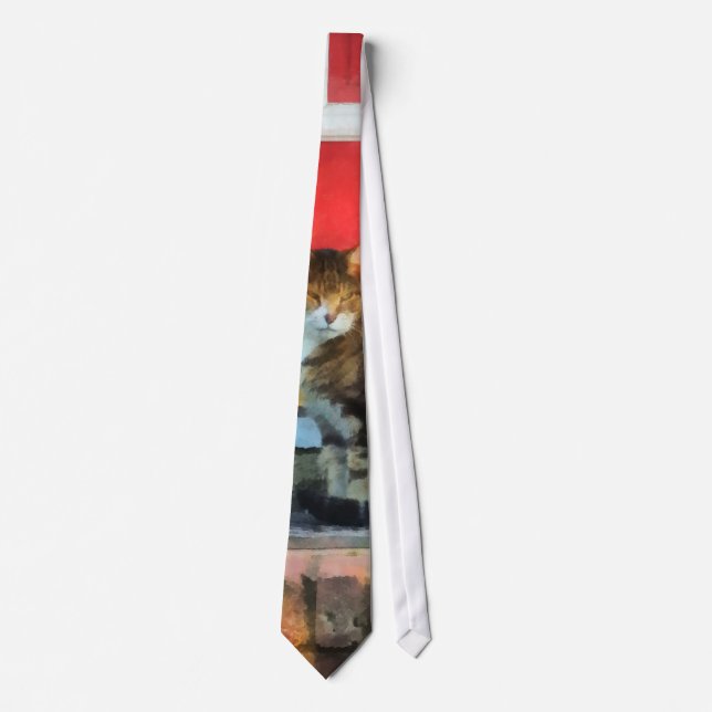 Gravata Pets - Tabby Cat by Red Door (Frente)
