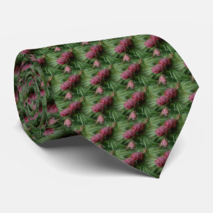 Gravata Pine Cones E Pine Agulha