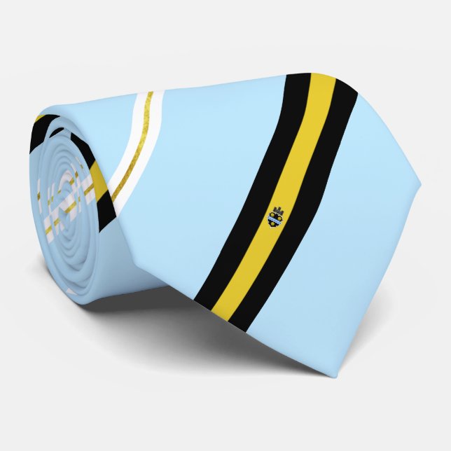 Gravata Pittsburgh (Pensilvânia) flag-casaco arm Neck Tie (Rolled)