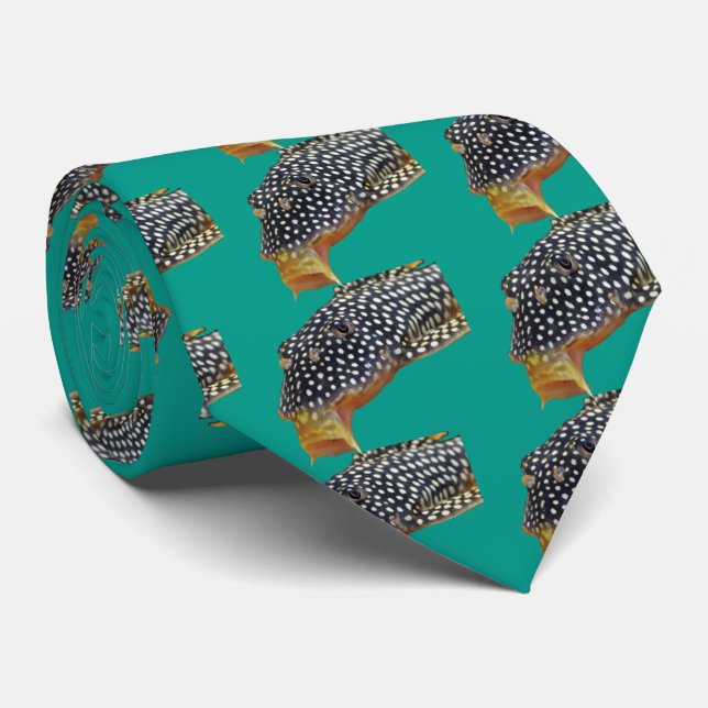 Gravata Pleco (Rolled)