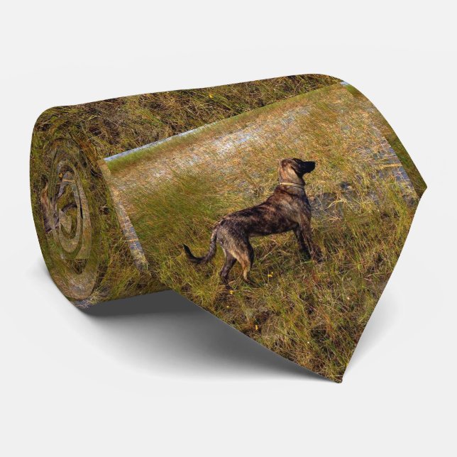 Gravata Plott Hound Dog Hunting Tie (Rolled)