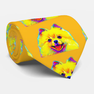 Gravata Pomeranian nas cores