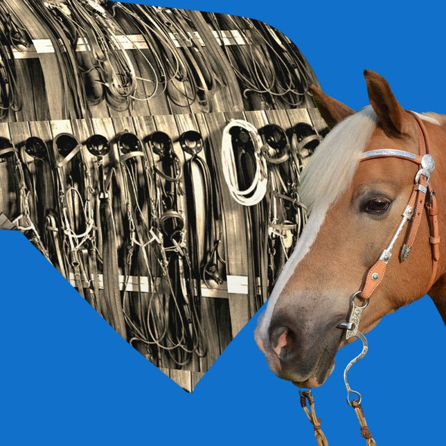 Gravata Pontes de Cordas de Tack Ocidentais Corpo Impressã (Western necktie with tack room bridles and rope)