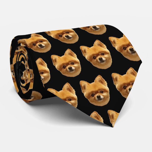 Gravata Puffy Pomeranian (Rolled)