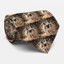 Quads Cavalier Spaniel Puppies Na Pipoca,