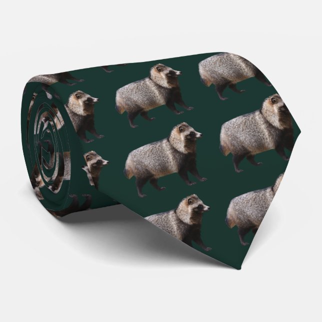 Gravata Raccoon dog (Rolled)