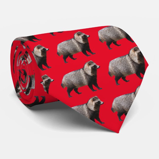 Gravata Raccoon dog (Rolled)