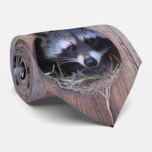 Gravata RACOON GUAXINIM/fotografia: Louis Glineur