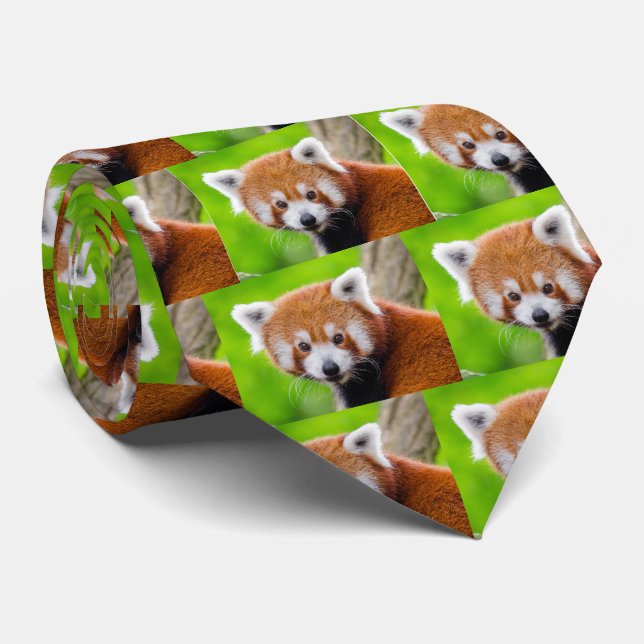 Gravata Red Panda (Rolled)